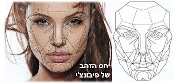 מתיחת פנים