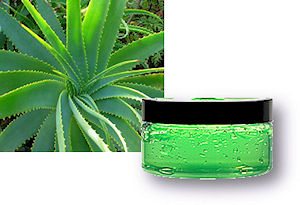 aloevera2