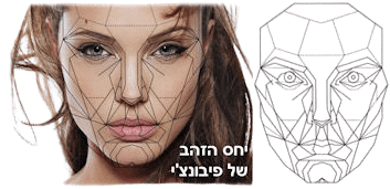 למלא קמטים