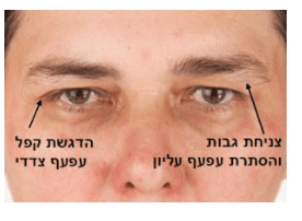 הרמת גבות