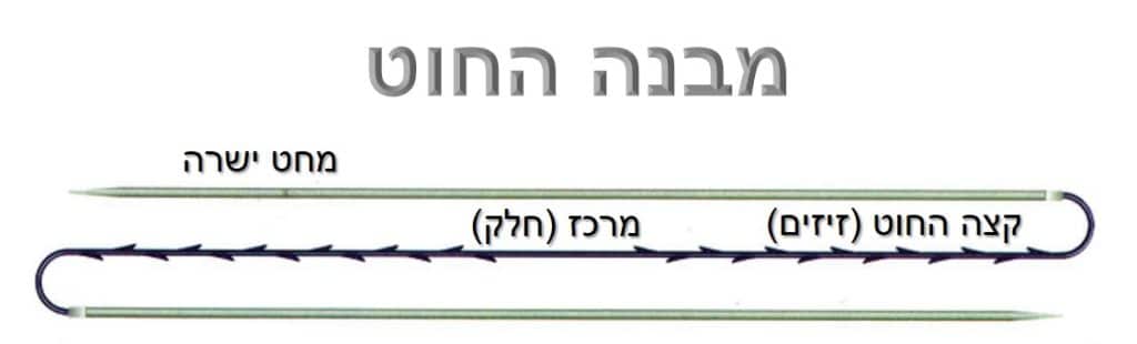 מבנה החוט